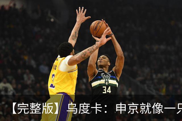 【完整版】乌度卡:申京就像一只斗牛犬 不在乎谁得分只要能赢球