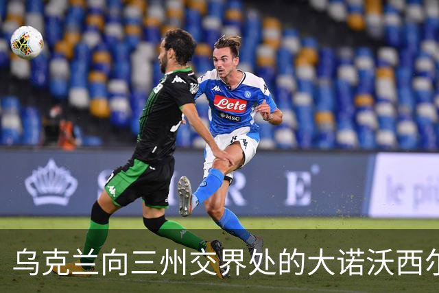 乌克兰向三州交界处的大诺沃西尔卡推进！夺取小迪布罗瓦