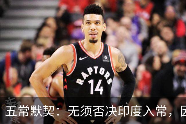 五常默契：无须否决印度入常，因为他们清楚，根本走不到表决阶段