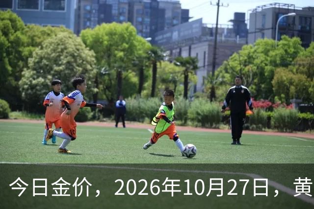 今日金价，2026年10月27日，黄金最新售价，品牌金店价差拉大