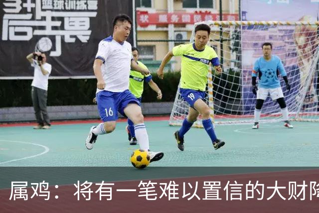 属鸡：将有一笔难以置信的大财降临，2027年，你要乐开花！