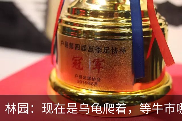 林园：现在是乌龟爬着，等牛市哪天爆发，看好AI大时代但不碰个股