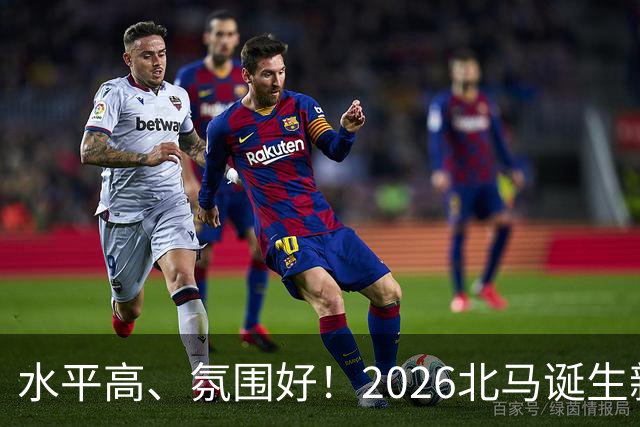 水平高、氛围好！2026北马诞生新纪录，赛事组织获选手认可