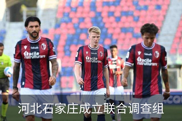 河北石家庄成立联合调查组