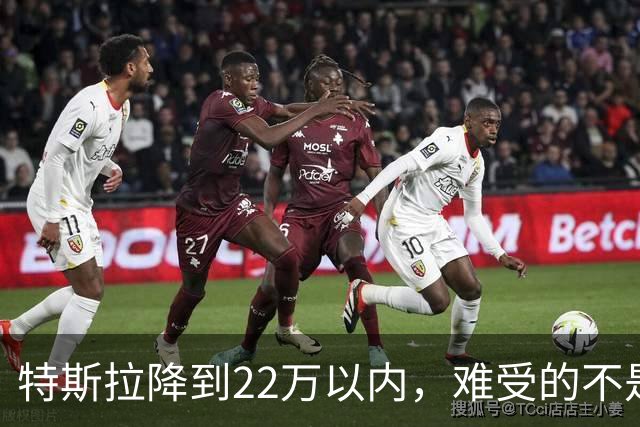 特斯拉降到22万以内,难受的不是对手,是上个月刚提车的人