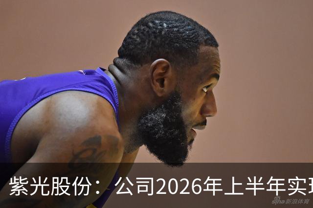 紫光股份：公司2026年上半年实现营业收入635.16亿，同比增长33.93%