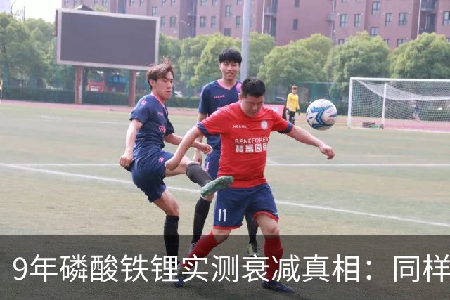 9年磷酸铁锂实测衰减真相：同样开9年，健康度差14%！车主必看